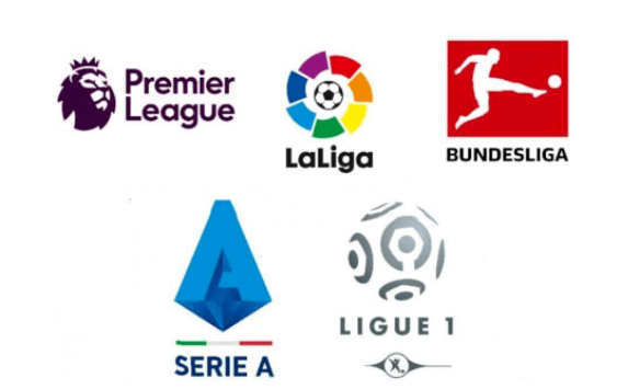 们提供了有 们提供了有